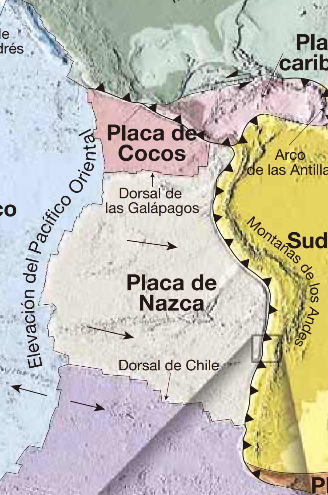 Nazca Plate
